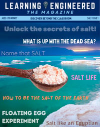 LE The Magazine SALT