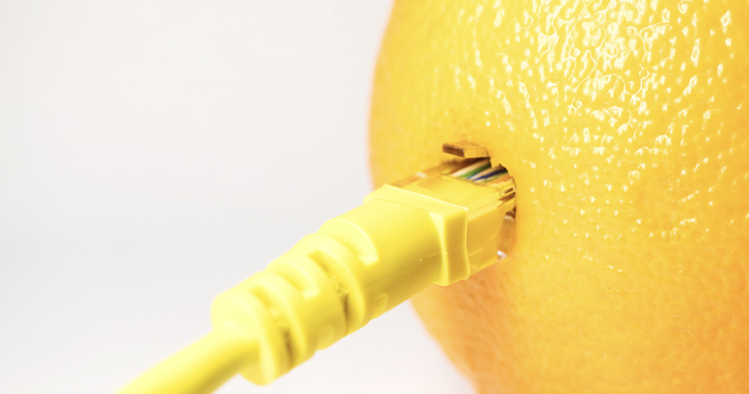 Cat 5 Lemon